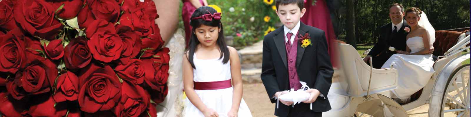 weddings-header